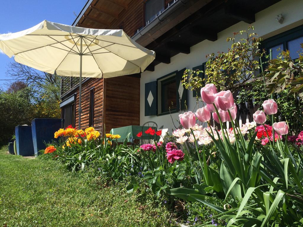 Ferienhaus Blumenparadies Stainz Exteriör bild